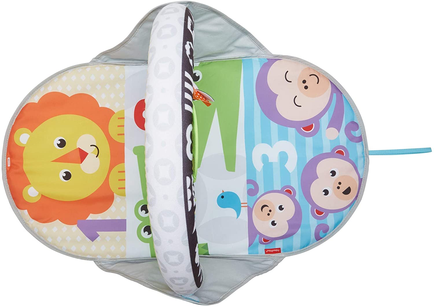 Fisher Price 2-in-1 Flip & Fun Activity Gym FXC14