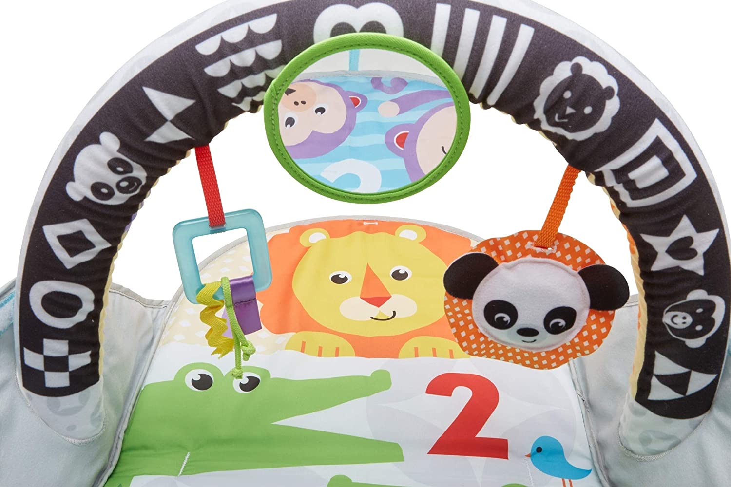 Fisher Price 2-in-1 Flip & Fun Activity Gym FXC14