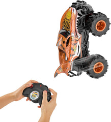Hot Wheels Monster Trucks Tiger Shark Vehicle 1:24 HNV03
