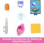 Barbie Skipper Floral Dress and Baby HTK35 - Colorland Toys