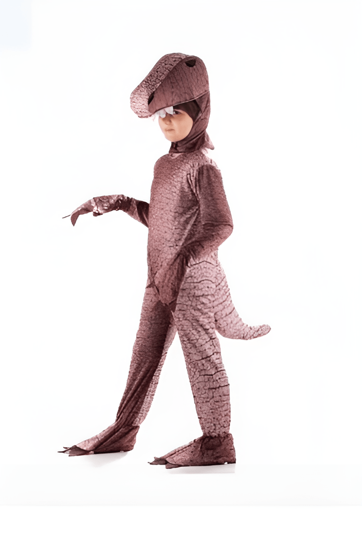 Costume Dinosaur Brown 541 2 - 3 - Colorland Toys