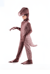 Costume Dinosaur Brown 541 2 - 3 - Colorland Toys