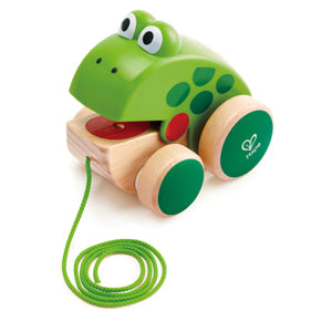Hape Frog-Themed Push & Pull Along Toy - Colorland Toys