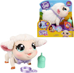 Little Live Pets My Pet Lamb Snowie 26476/64559 - Colorland Toys