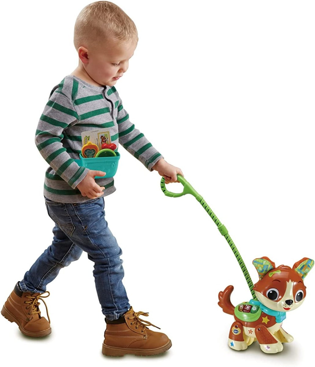 VTech Let's Go My Friend Pup 80-552563