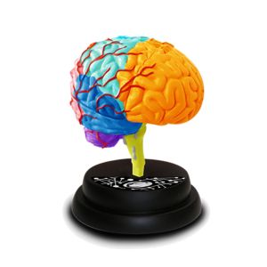 Eastcolight Ar Brain Professional Model Online in UAE