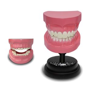 Eastcolight AR Teeth Professional Model Online in UAE
